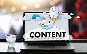 Custom web design and branding solutions